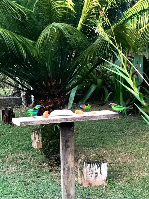 Itamambuca A Beira Mar Com Piscina Villa Ubatuba Luaran gambar